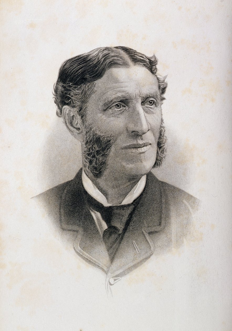 马修阿诺德的肖像（1822-88）， 作者 英语学校