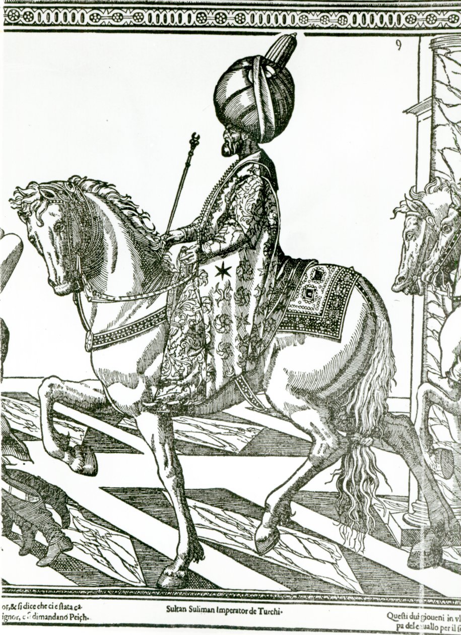 Suleiman the Magnificent（雕刻）的肖像 作者 英语学校