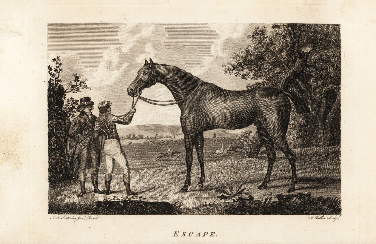 著名的纯种赛马Escape与骑师和训练师的画像 作者 英语学校