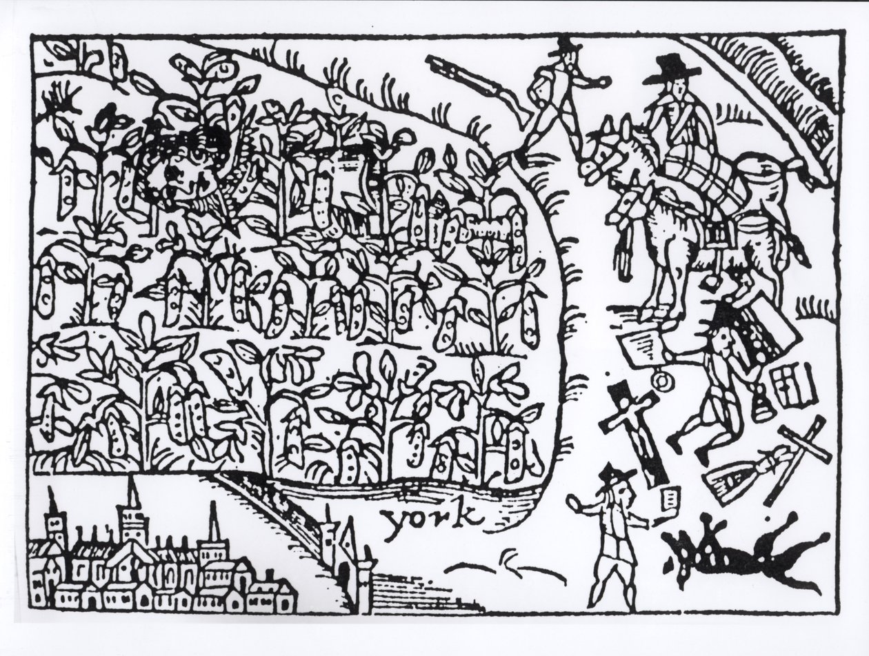 鲁珀特王子（1619-82）于1644年7月2日在Marston Moor战役中躲藏在豆田中 作者 英语学校