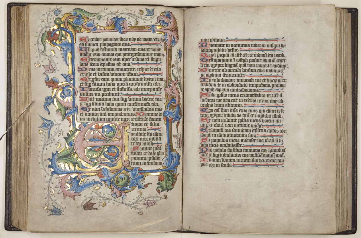 Psalter with Sarum use calendar, c.1425-75 (ink, paint & gold on vellum) 作者 英语学校