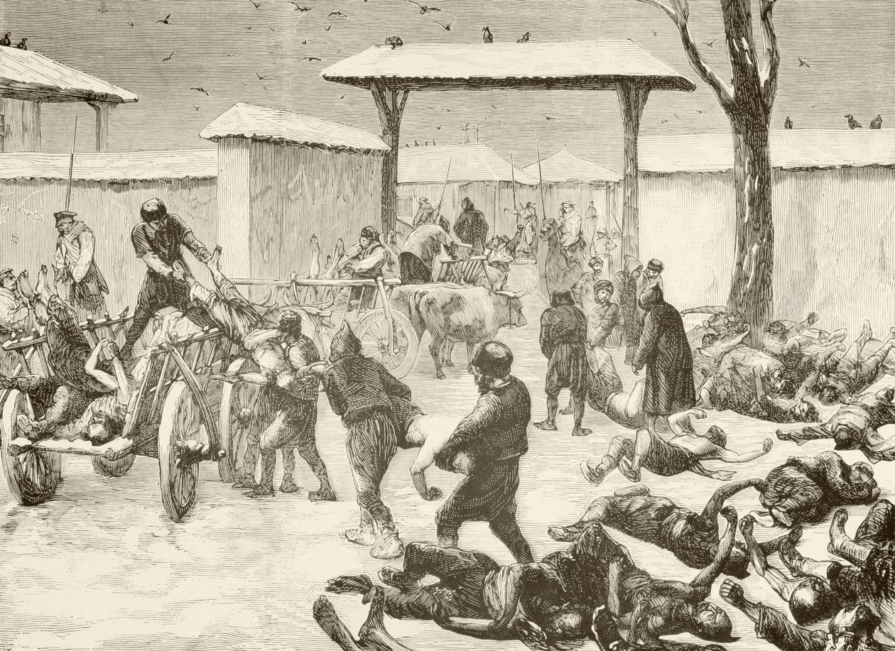 1877 年保加利亚普列夫纳围城战后打捞死者（石版印刷） 作者 英语学校