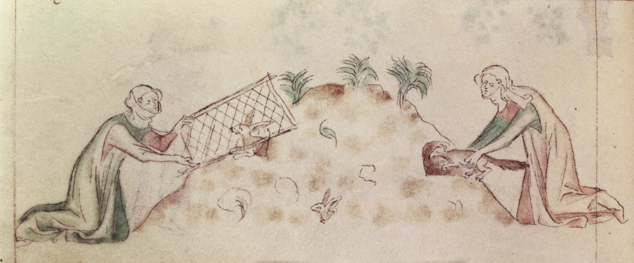 Roy 2 B VII f.155v 妇女用网和雪貂捕捉兔子，出自《玛丽王后诗篇》，约 1310-20 年（牛皮纸） 作者 英语学校