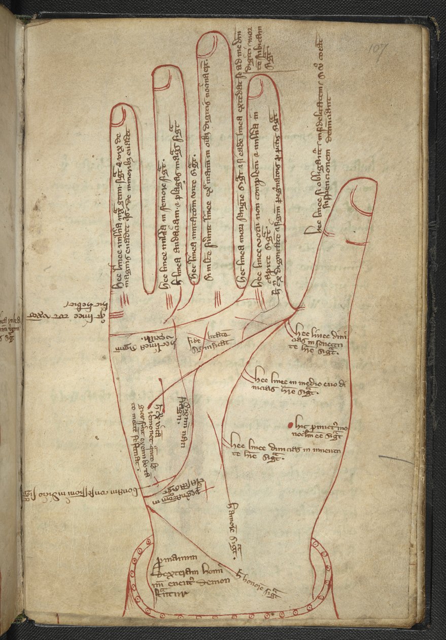 皇家 MS 12 C XII f.107r 中世纪杂记中的《读手》（牛皮纸上的墨迹） 作者 英语学校