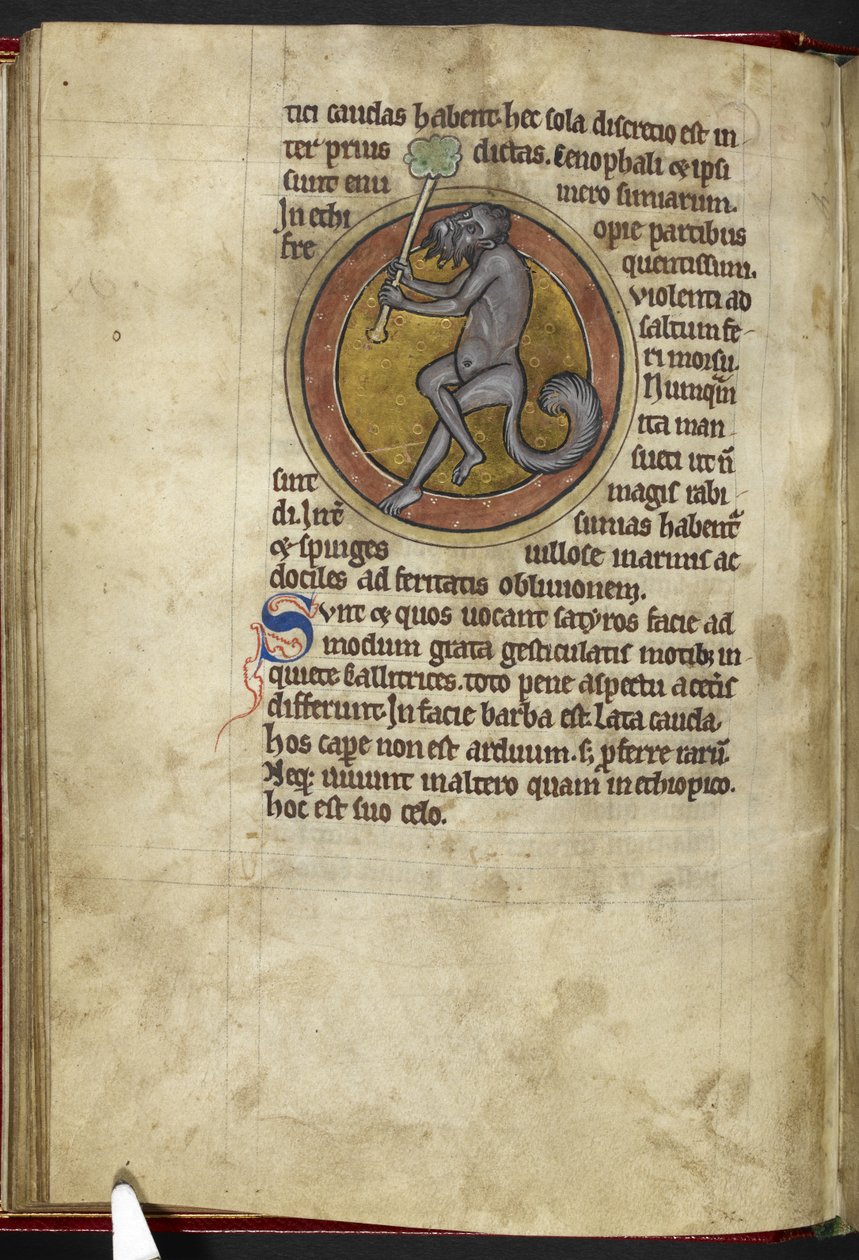 皇家 MS 12 C XIX，f.15v Satyr，选自《兽类志》，约 1200-10 年（牛皮纸上的墨水、彩色和金色） 作者 英语学校