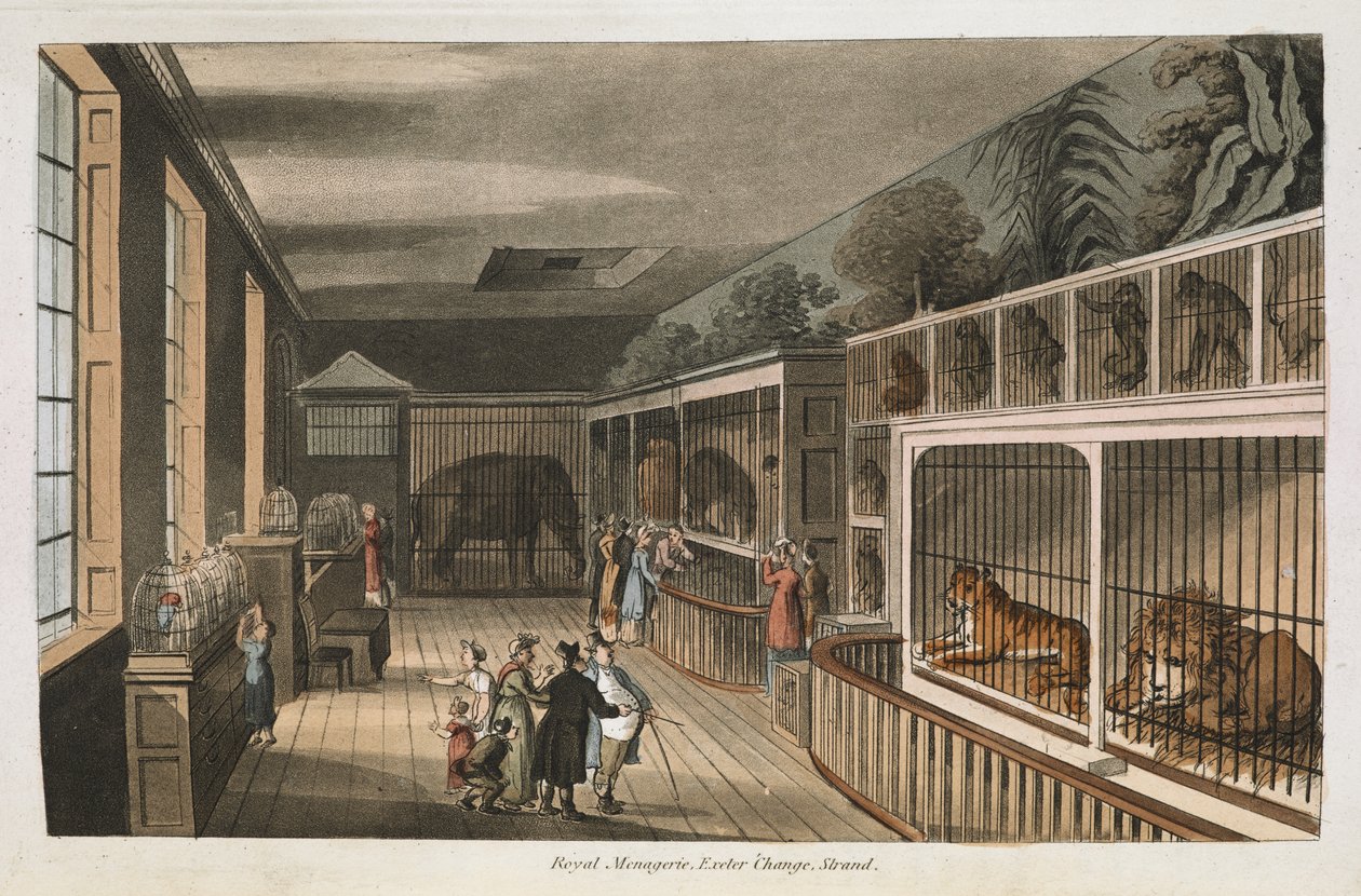 Royal menagerie, Exeter (Change Exchange), Strand.Select views of London : with historical and descriptive sketches of some of the most interesting of the public buildings / 由J.B. Papworth编译和整理。John Buonarotti Papworth伦敦 作者 英语学校