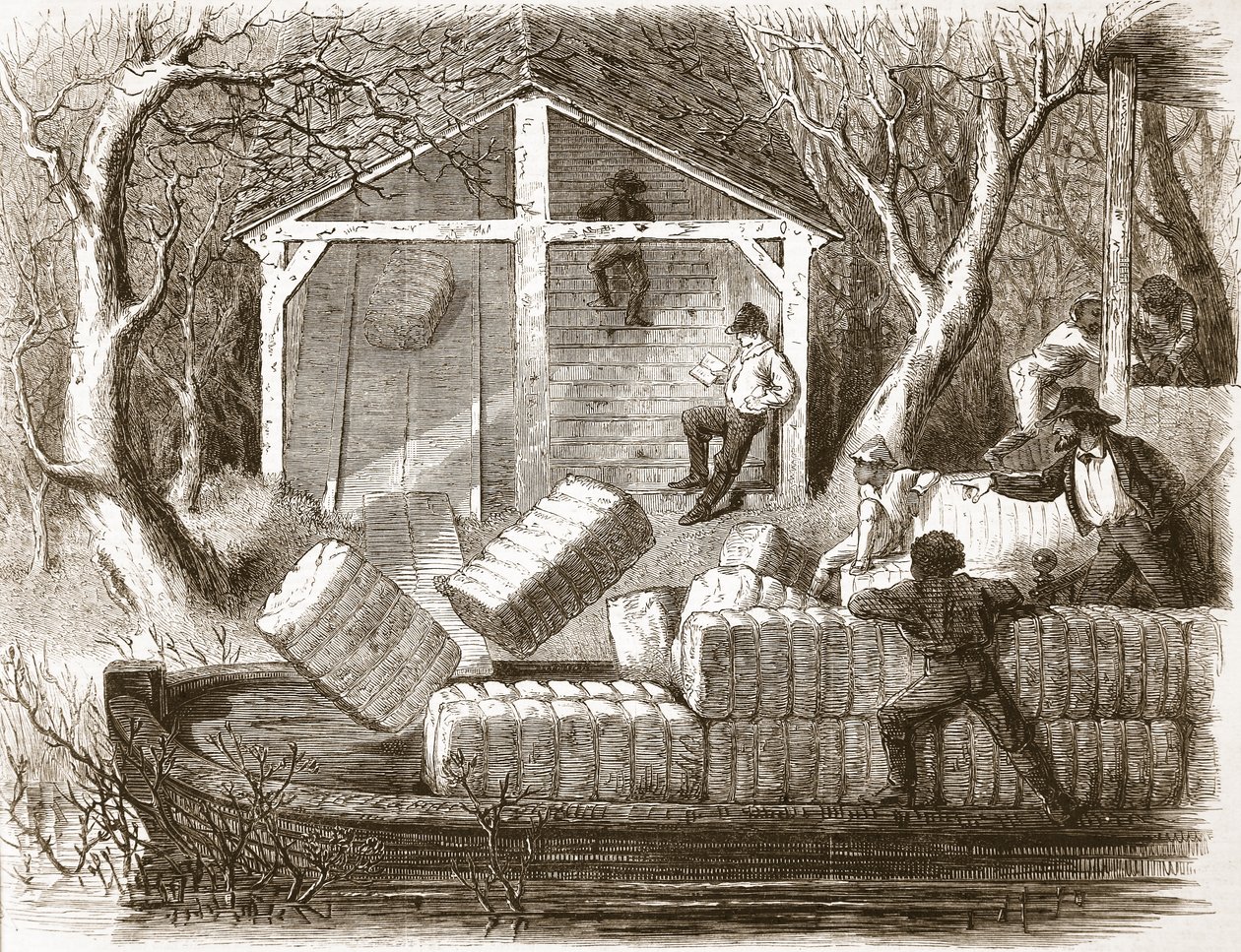 拍摄Cottin-bales进入河轮木兰的前部，插图来自The Illustrated London News，1861 作者 英语学校