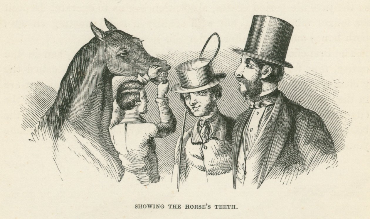 展示马的牙齿（雕刻） 作者 英语学校