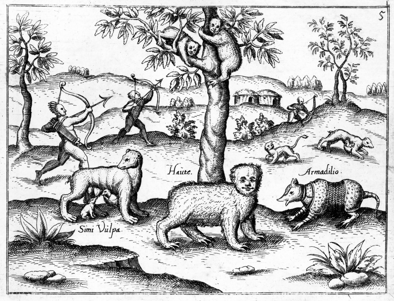 Simi Vulpa，Haute和Armadilio，来自Walter Raleigh爵士的“发现圭亚那”的插图，出版于1599年 作者 英语学校