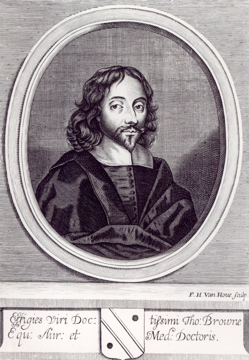 Thomas Browne爵士（1605-82），由Frederick Hendrick van Hove（c.1628-98） 作者 英语学校