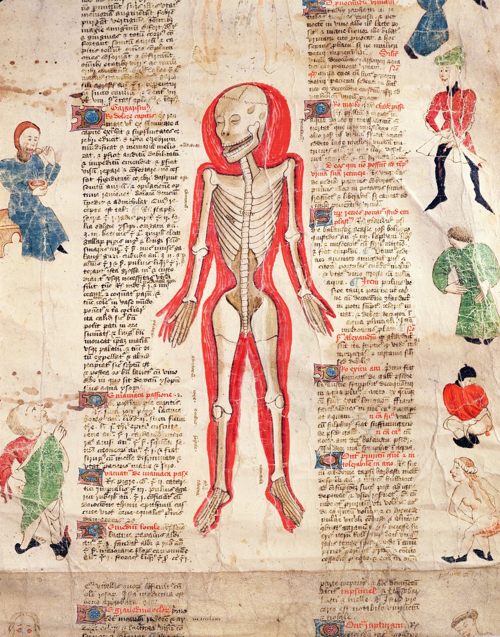 骷髅，来自De Arte phisicali e de cirugia，约翰阿登，1412年 作者 英语学校