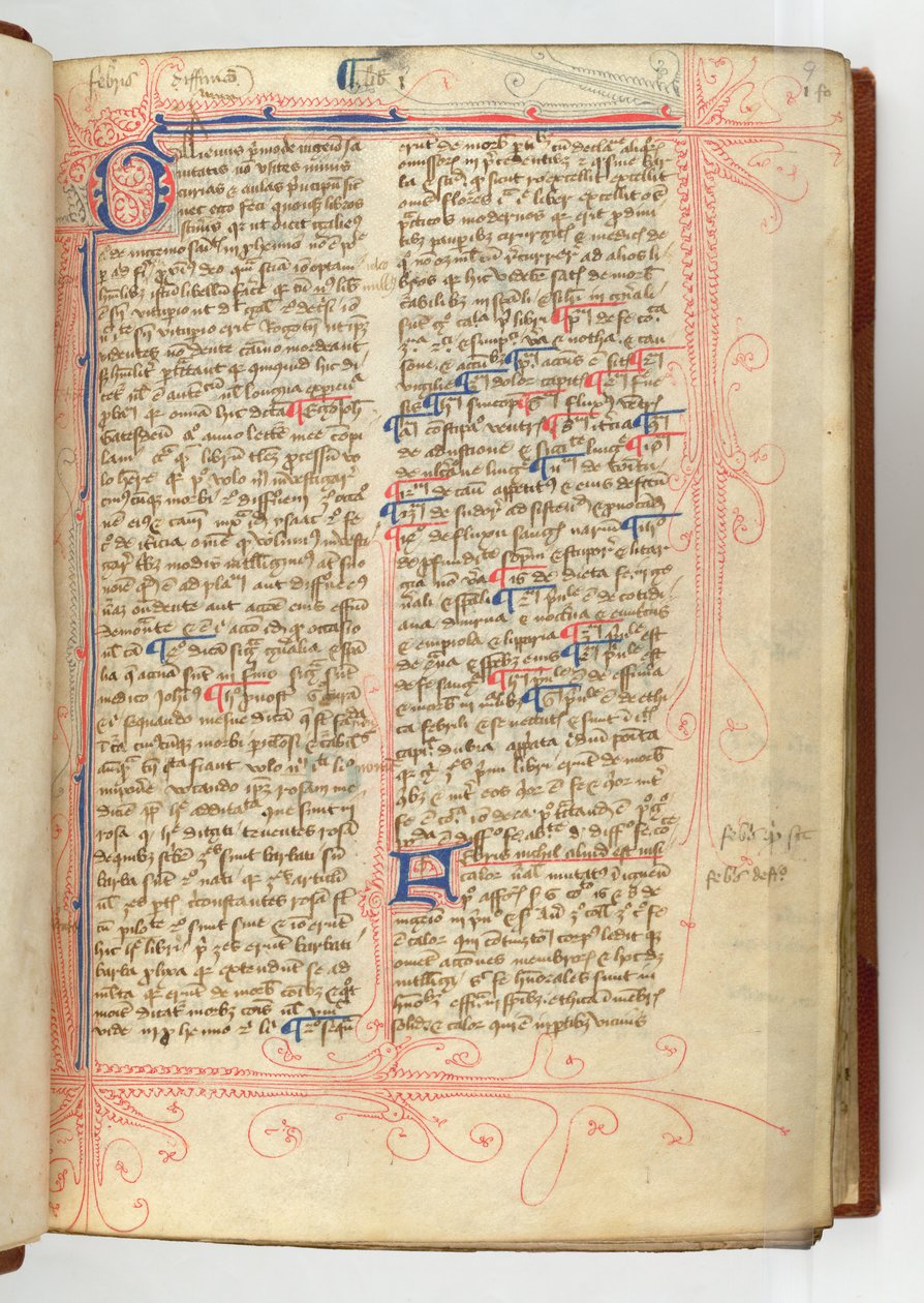 斯隆 280，f.9r 约翰-加迪斯登撰写的《罗莎-当归》序言 作者 英语学校