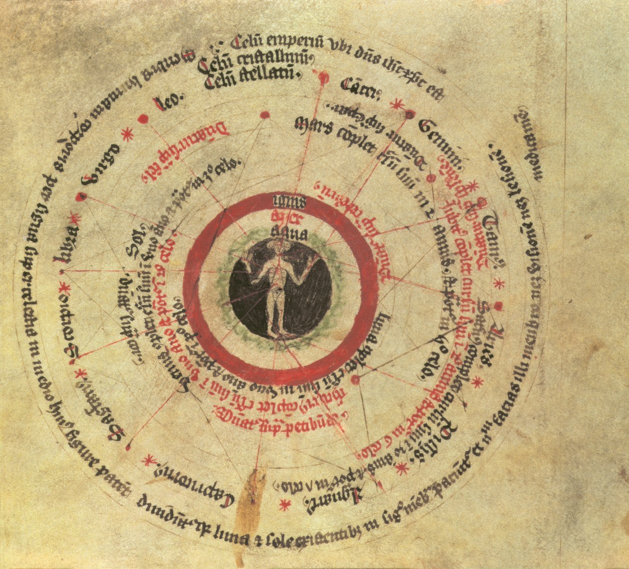 斯隆 MS 282 fol.18 小人（牛皮纸） 作者 英语学校