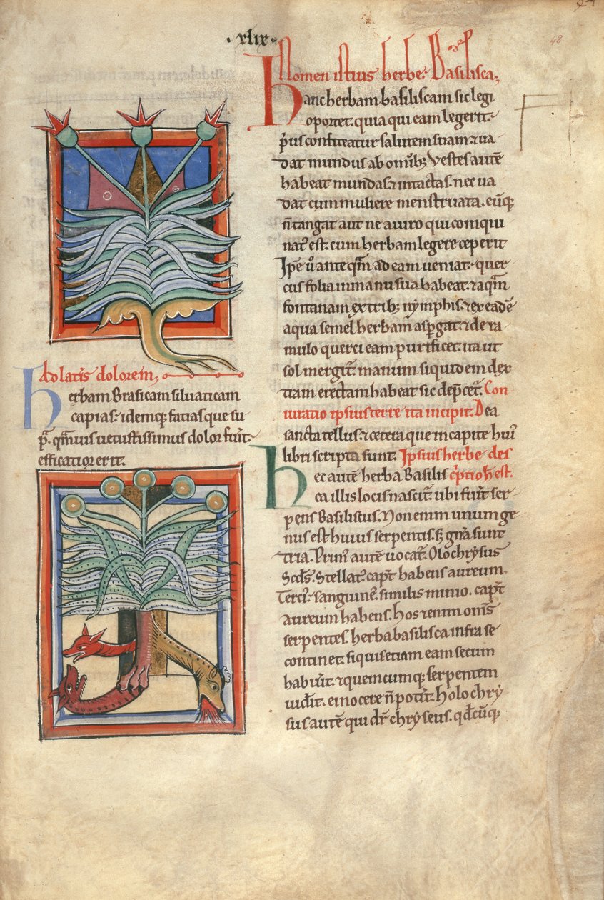 斯隆女士 1975 fol.48 《香草大教堂 作者 英语学校
