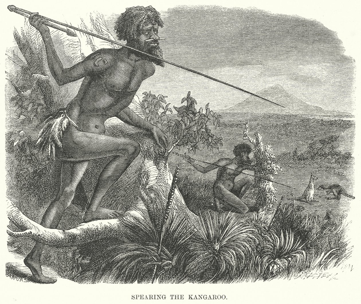 刺杀袋鼠（雕刻） 作者 英语学校