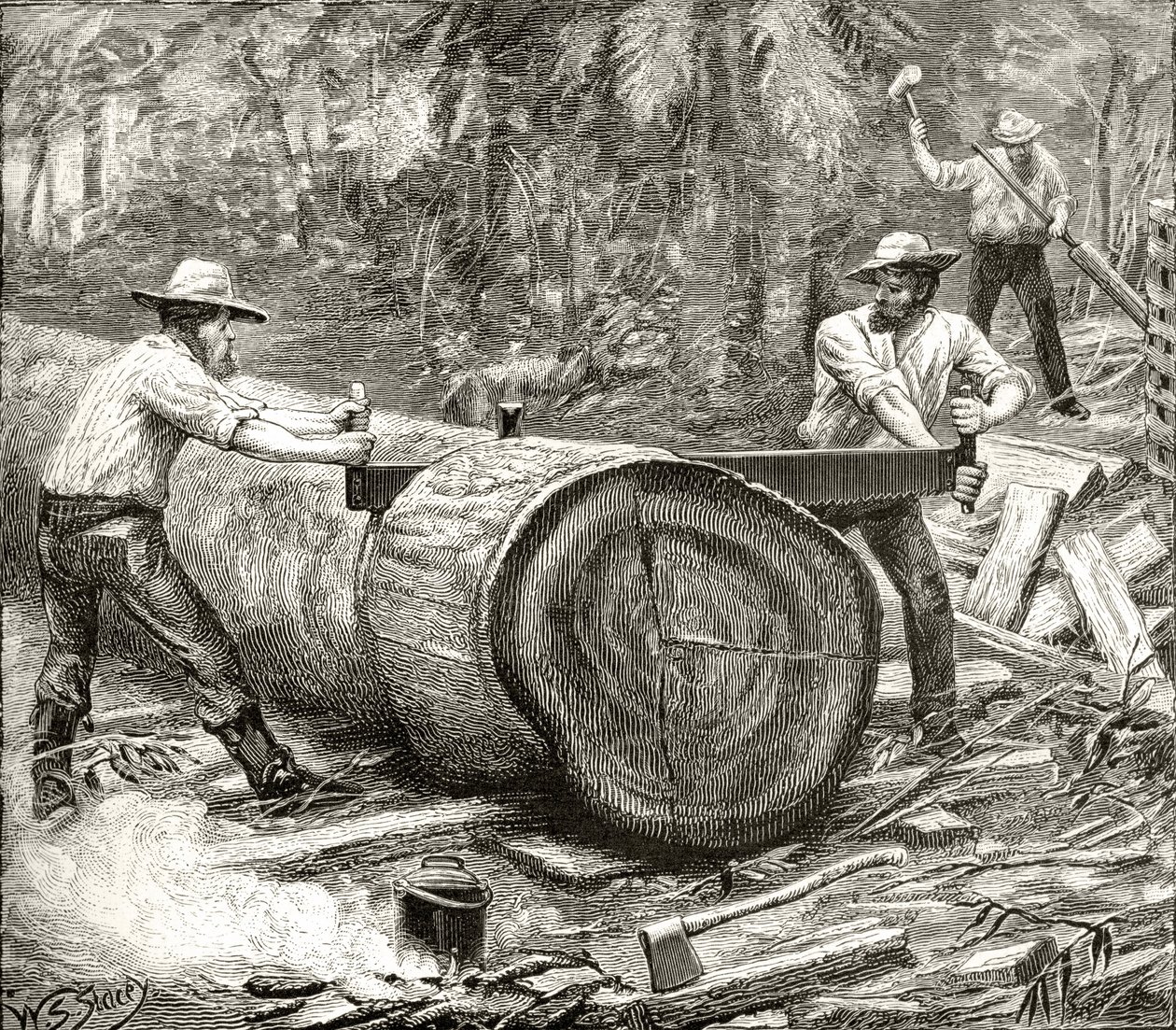 布什的分裂者，1880年，来自霍华德威洛比的“澳大利亚图片”，由伦敦宗教学会出版，1886年 作者 英语学校