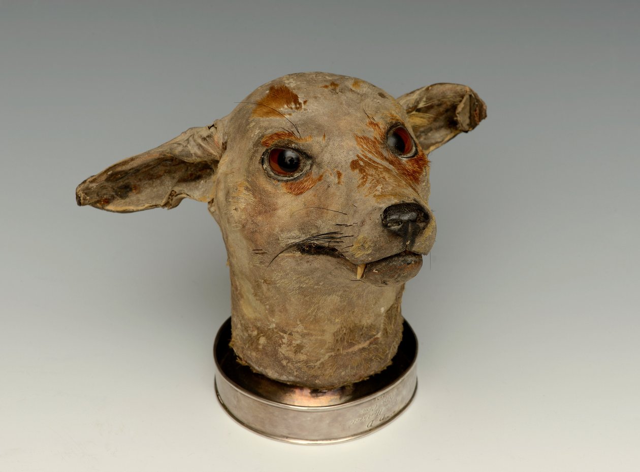 马镫杯，c.1832 作者 英语学校