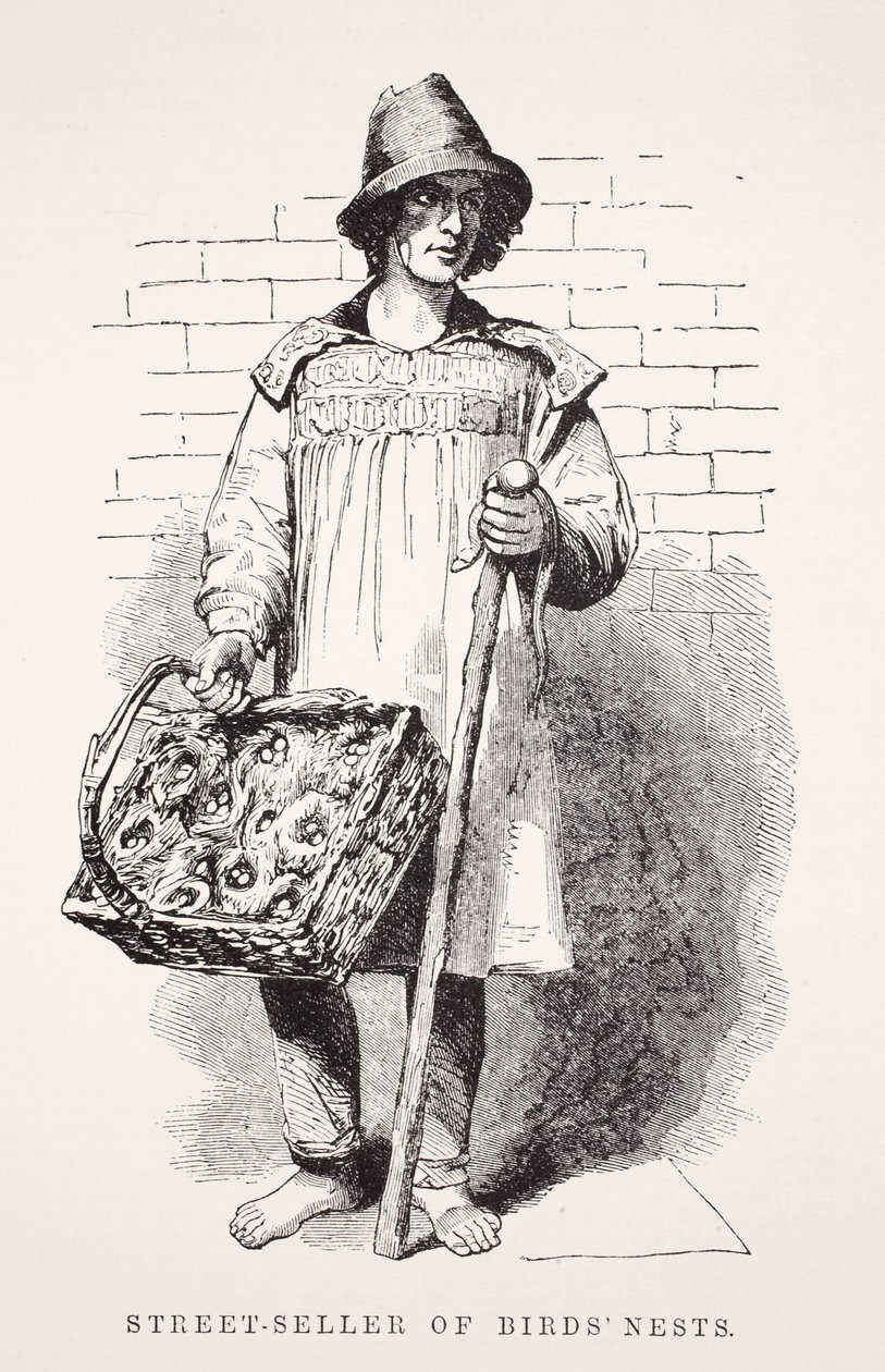 鸟巢的街头卖家，来自伦敦工党和伦敦穷人的插图由Henry Mayhew，酒吧。 1862年 作者 英语学校