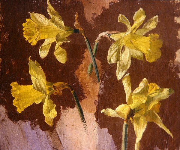 水仙花研究，约1830年（纸上油画） 作者 英语学校