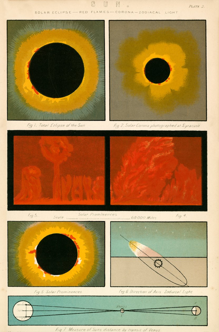 太阳（彩色平版） 作者 英语学校
