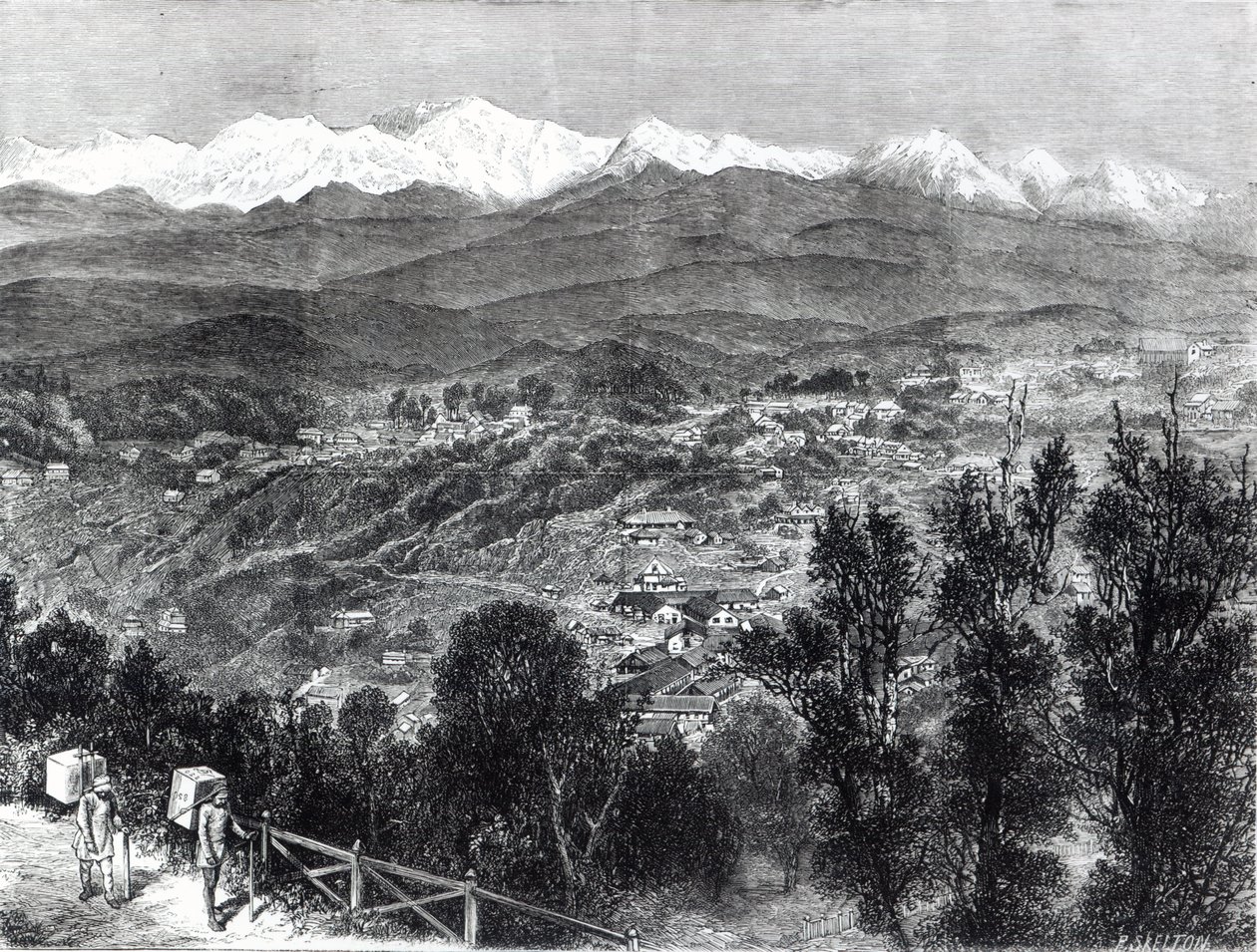 英国印度的茶叶种植 -  1876年南方大吉岭的景观 作者 英语学校