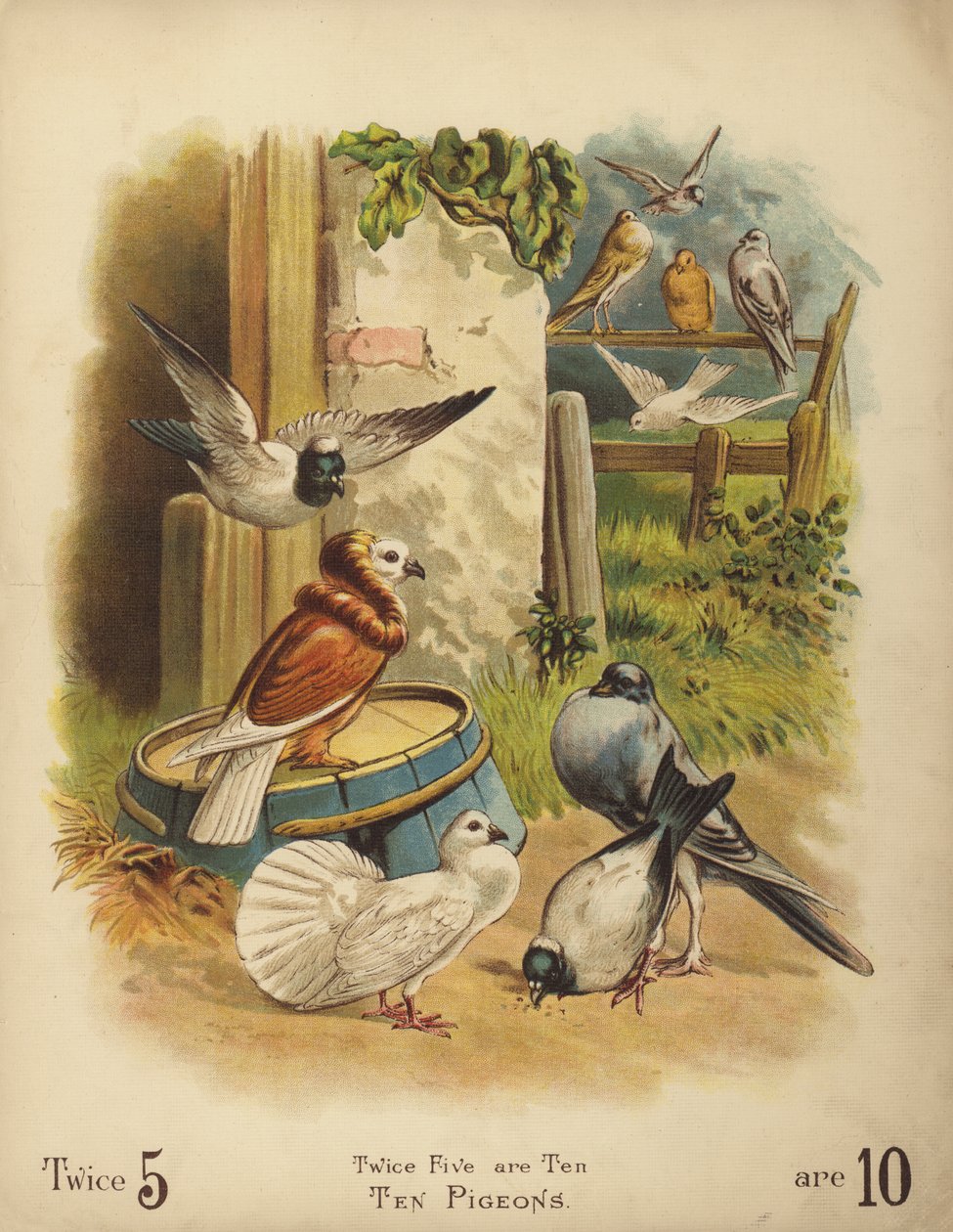 十只鸽子 (chromolitho) 作者 英语学校