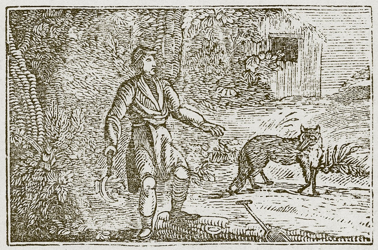 狐狸和乡下人》（雕刻） 作者 英语学校