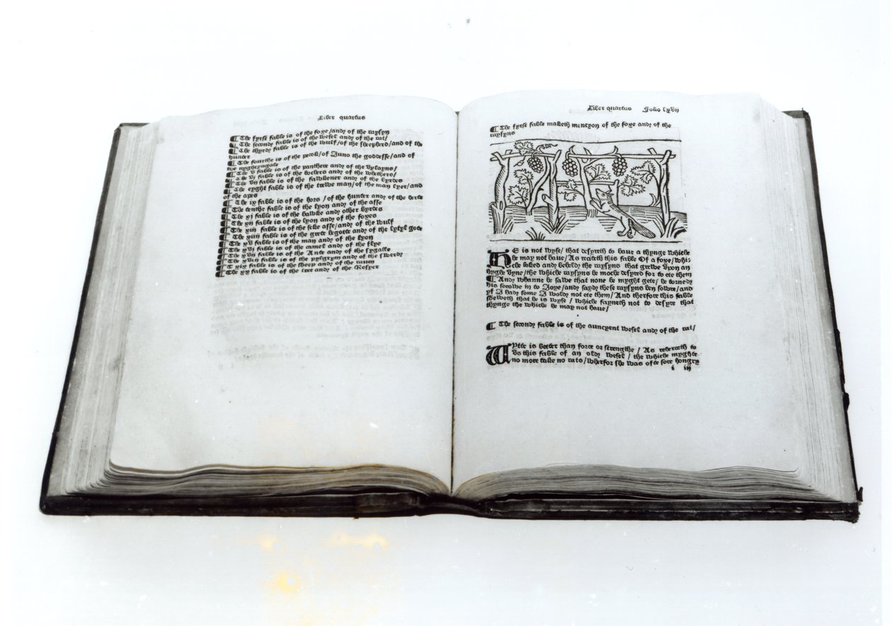 福克斯和葡萄，来自威廉卡克斯顿（C.1422-91）1434年Aesops Fables的插图译本 作者 英语学校