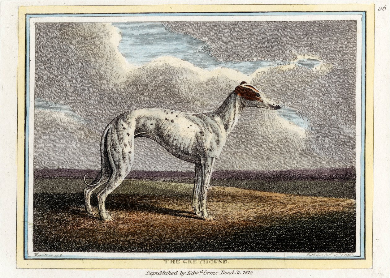 The Greyhound, pub.1812. 作者 英语学校