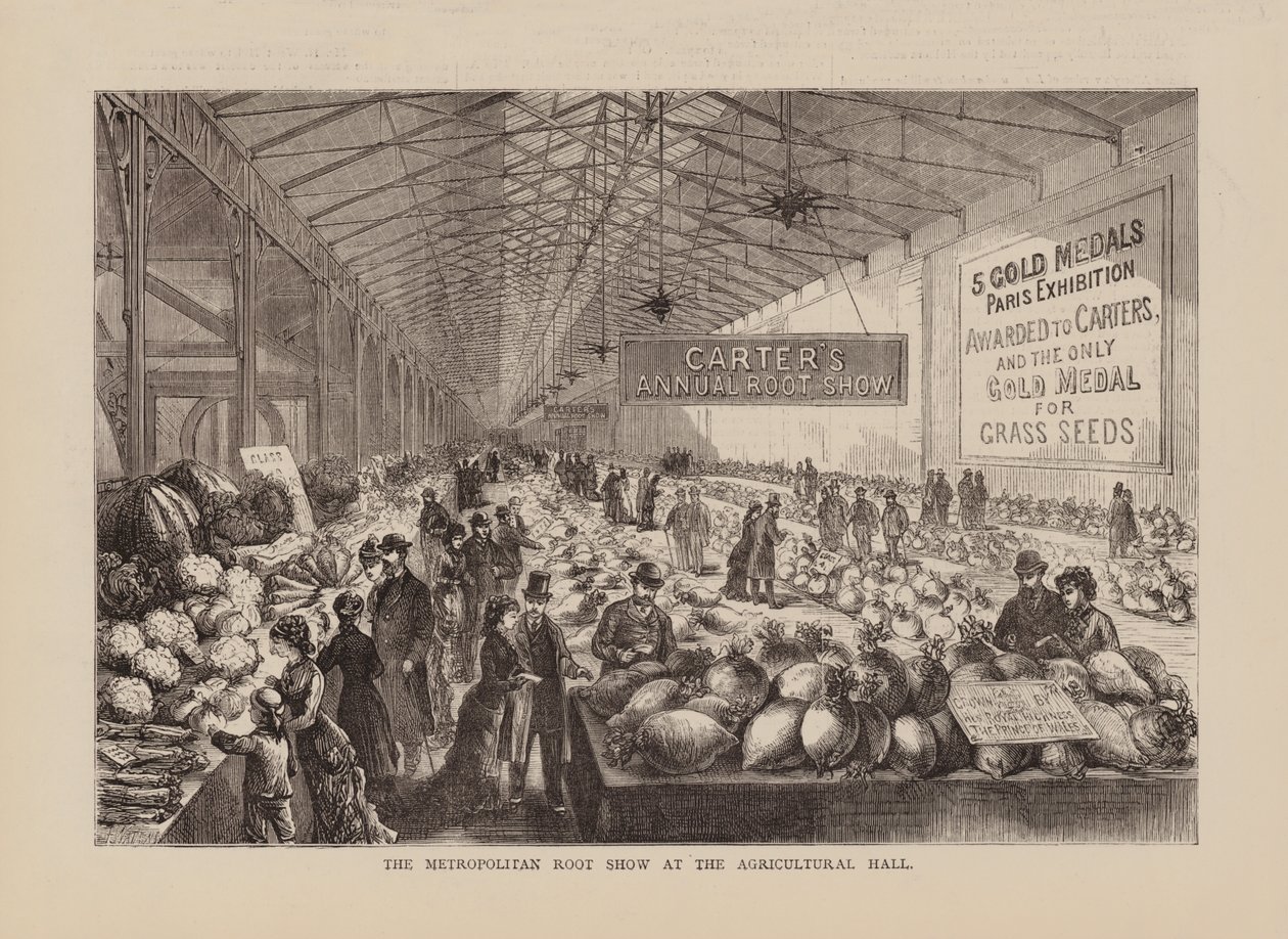 农业会堂的大都会根艺展（雕刻） 作者 英语学校