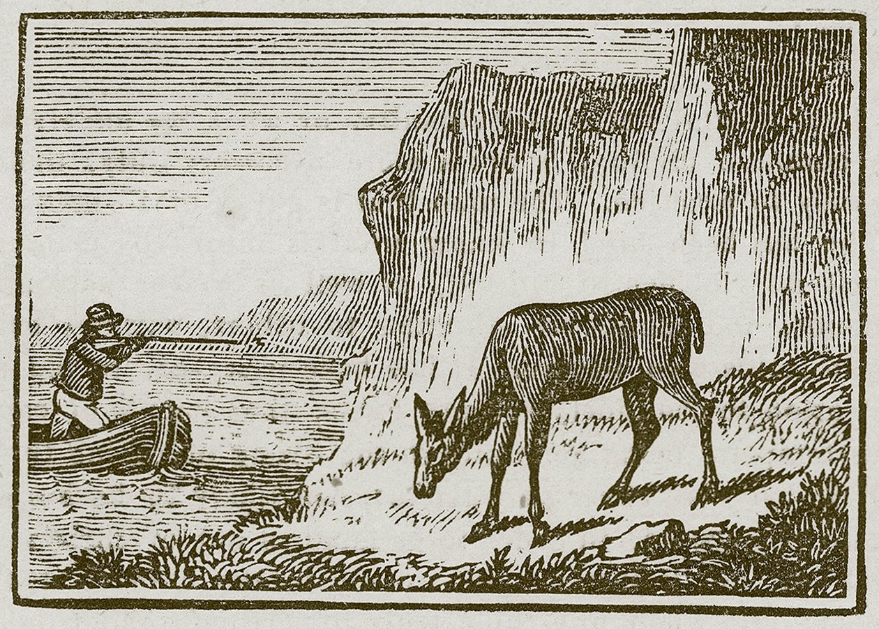 独眼雌鹿（雕刻） 作者 英语学校