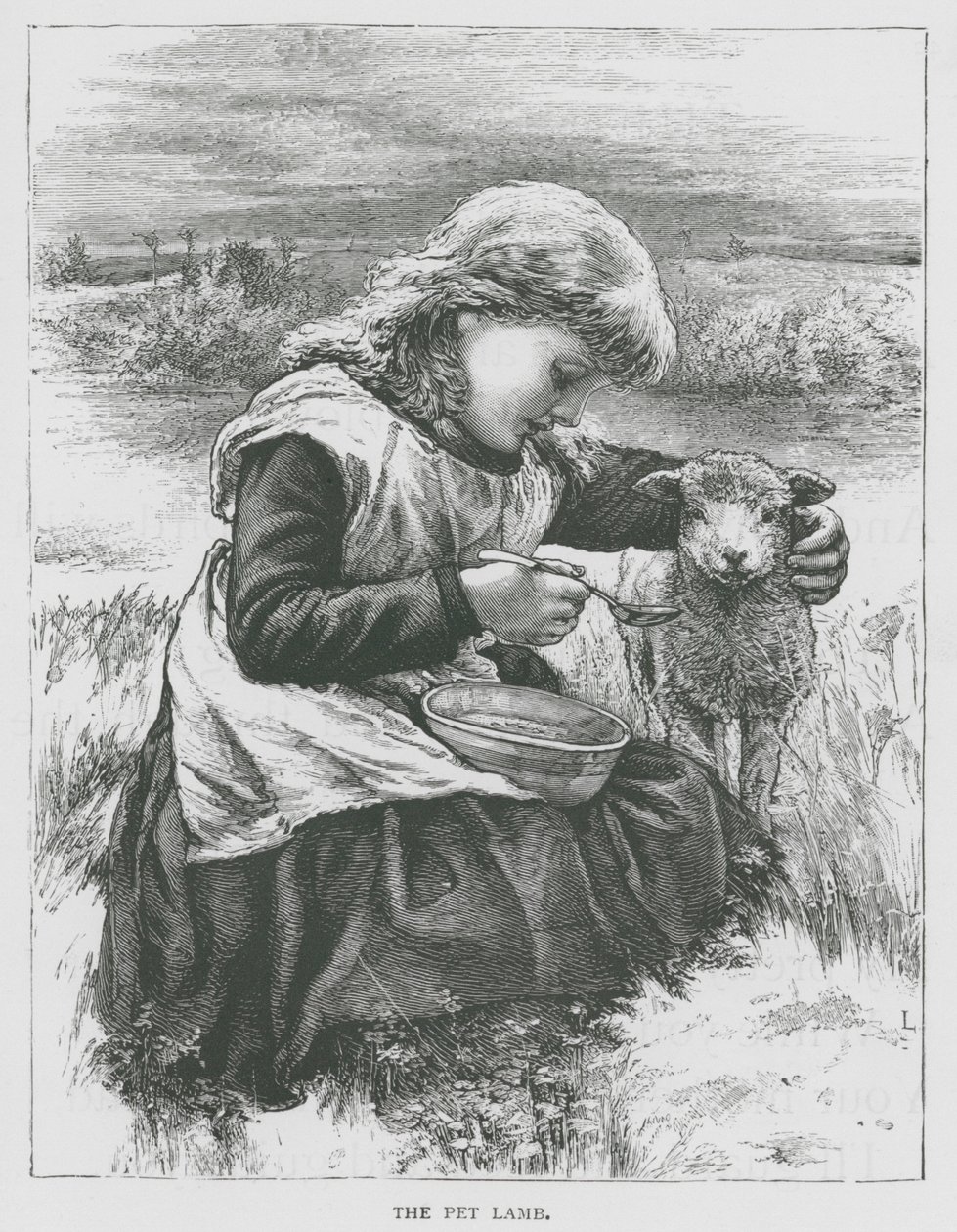 宠物小羊（雕刻） 作者 英语学校