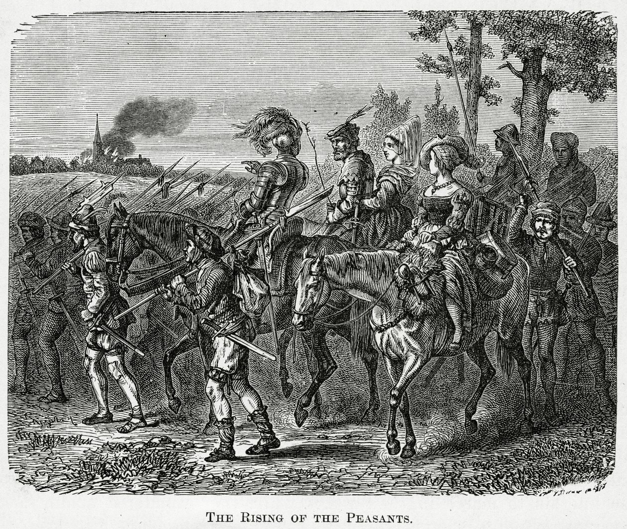 1882年，英国1882年农民的崛起 作者 英语学校