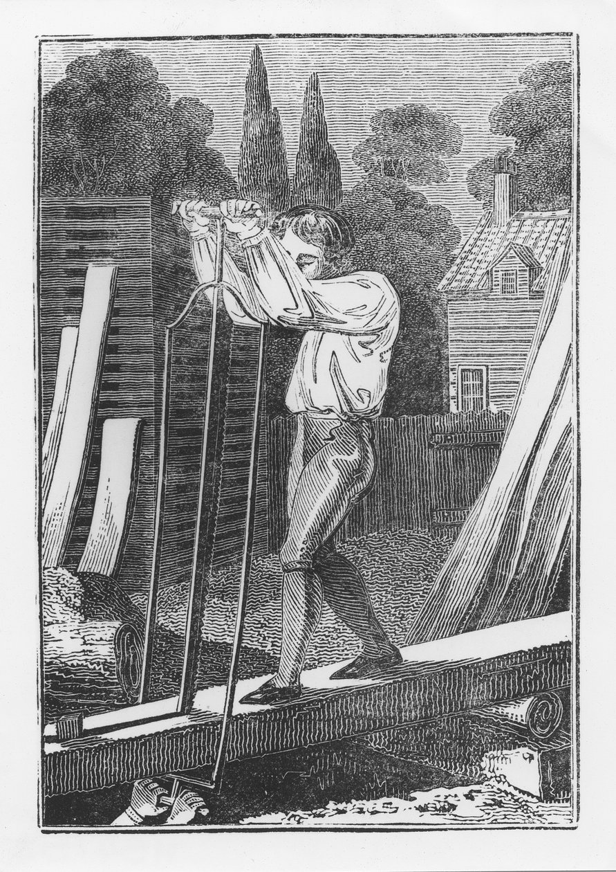The Sawyer，来自The Young Tradesman或Book of English Trades，1839 作者 英语学校