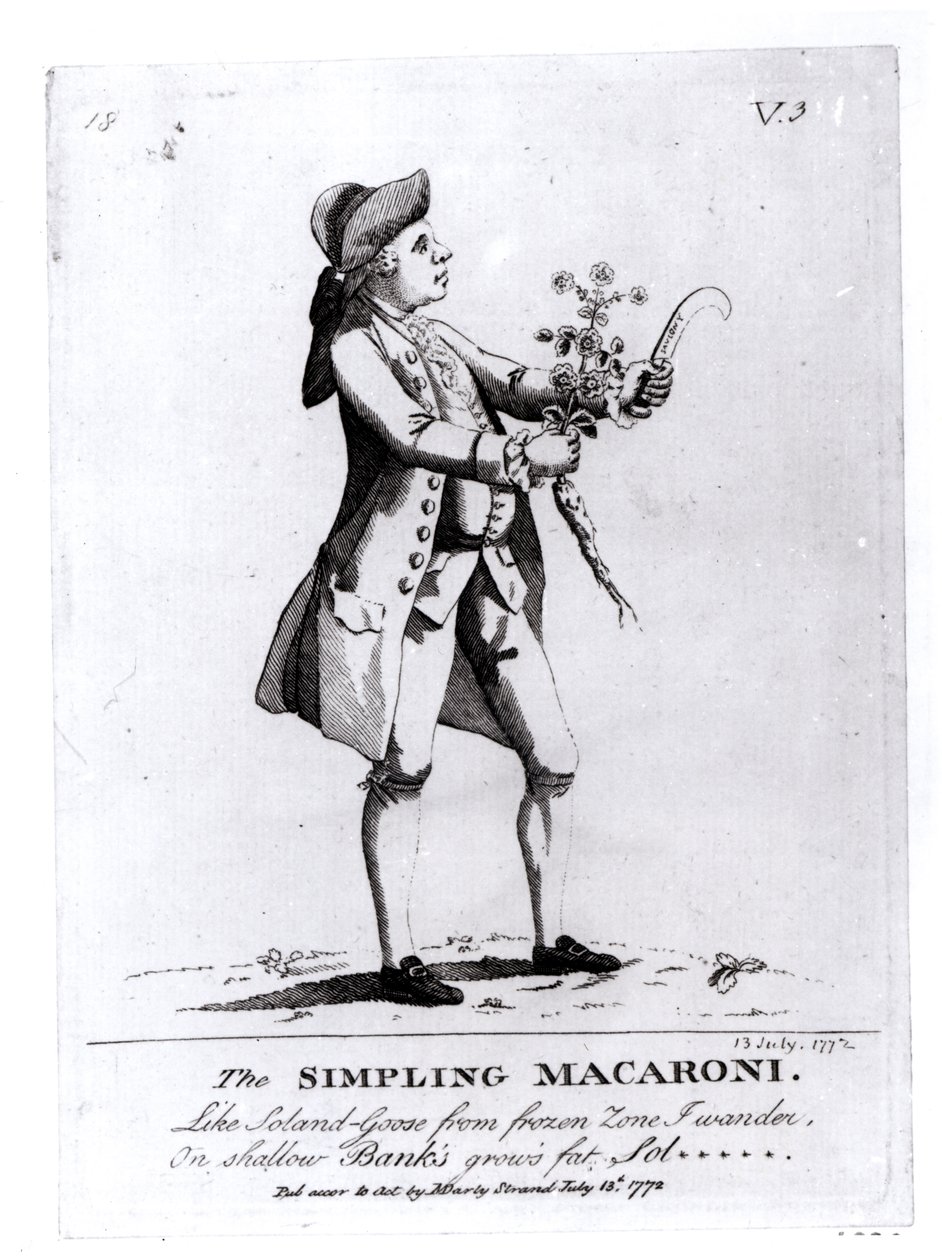 The Simpling Macaroni，酒吧。作者：N。Darly，1772年7月13日（雕刻）（bw照片） 作者 英语学校