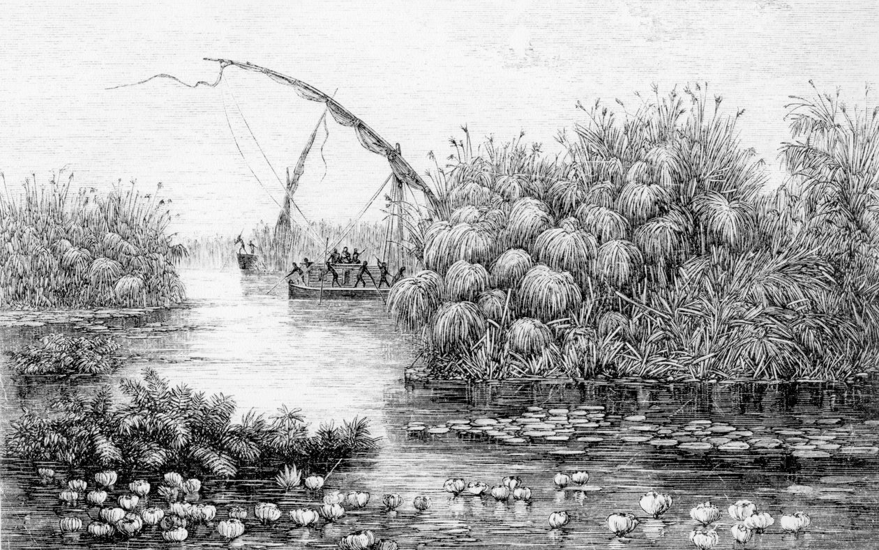 草障中的船只，摘自《非洲的心脏，1868年至1871年在中非未开发地区的三年旅行和冒险》，作者乔治-奥古斯特-施魏因富特。 作者 英语学校