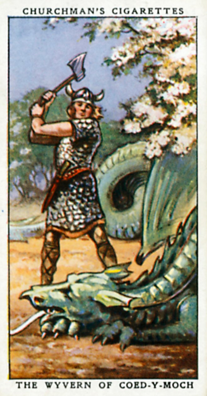 Coed-Y-Moch 的狼獾（彩色石版画） 作者 英语学校