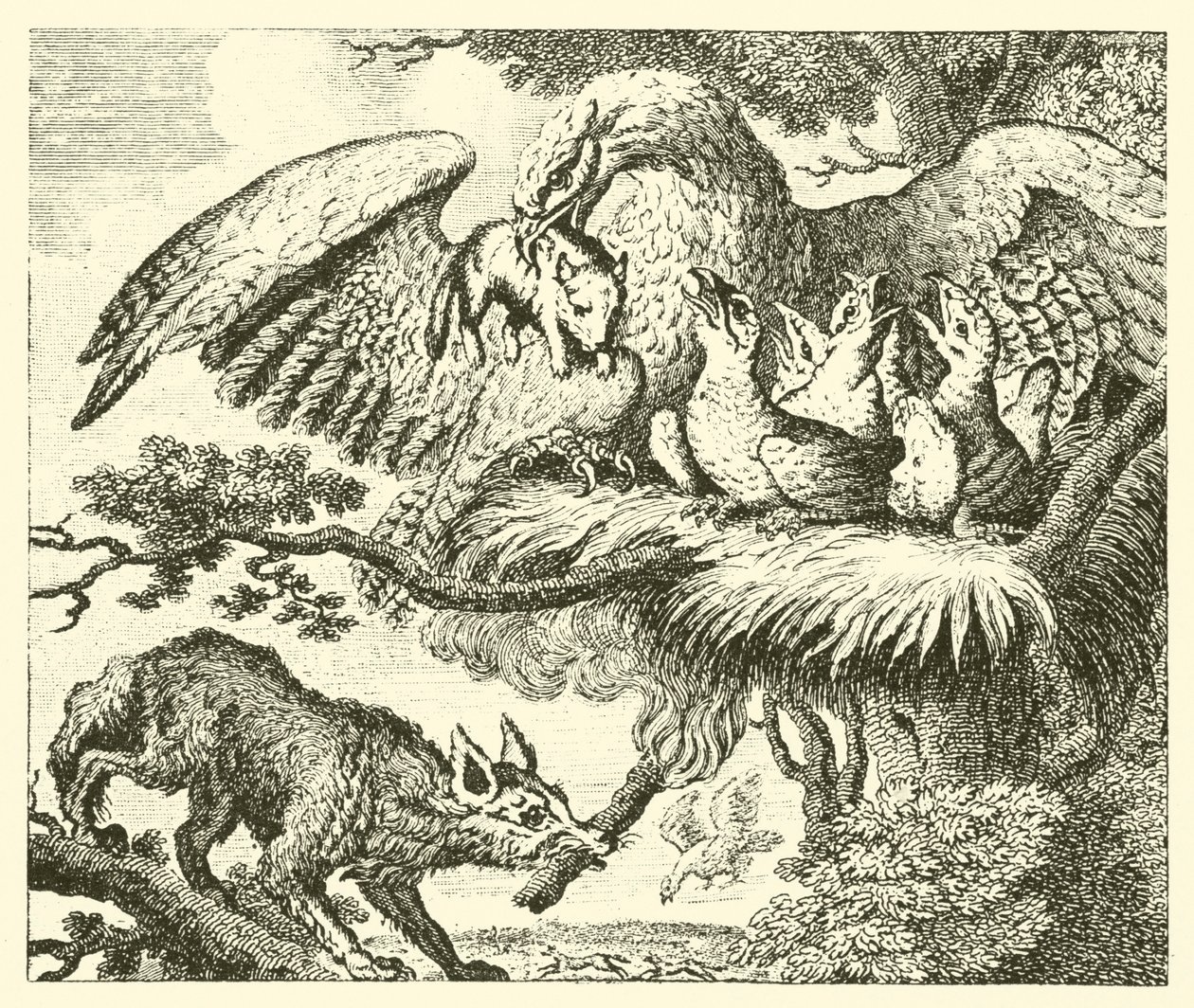 鹰与狐狸（雕刻） 作者 英语学校