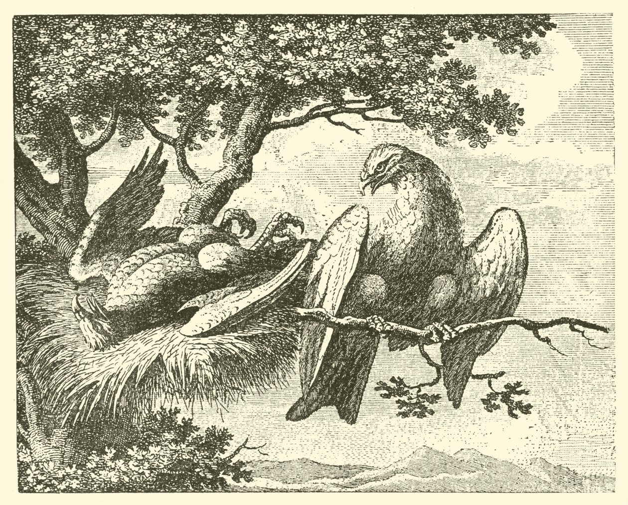 病鸢（雕刻） 作者 英语学校