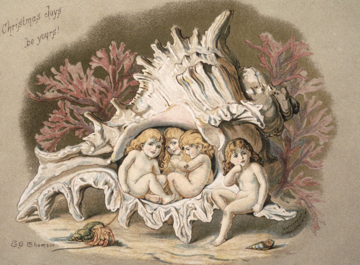 水婴儿，1880年 作者 英语学校