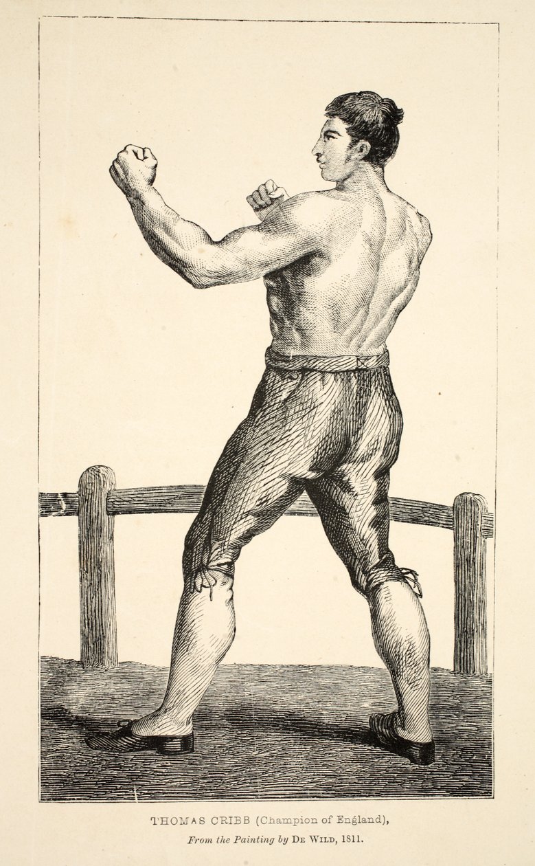 英格兰冠军托马斯·克里布（Thomas Cribb），来自德·怀尔德（De Wild）的画作 作者 英语学校