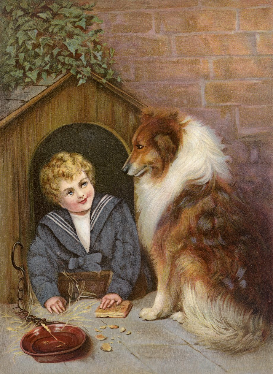Turned Out - 假装是柯利牧羊犬的男孩（彩色石版画） 作者 英语学校