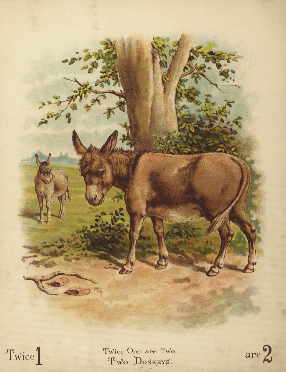 两只驴子（chromolitho） 作者 英语学校