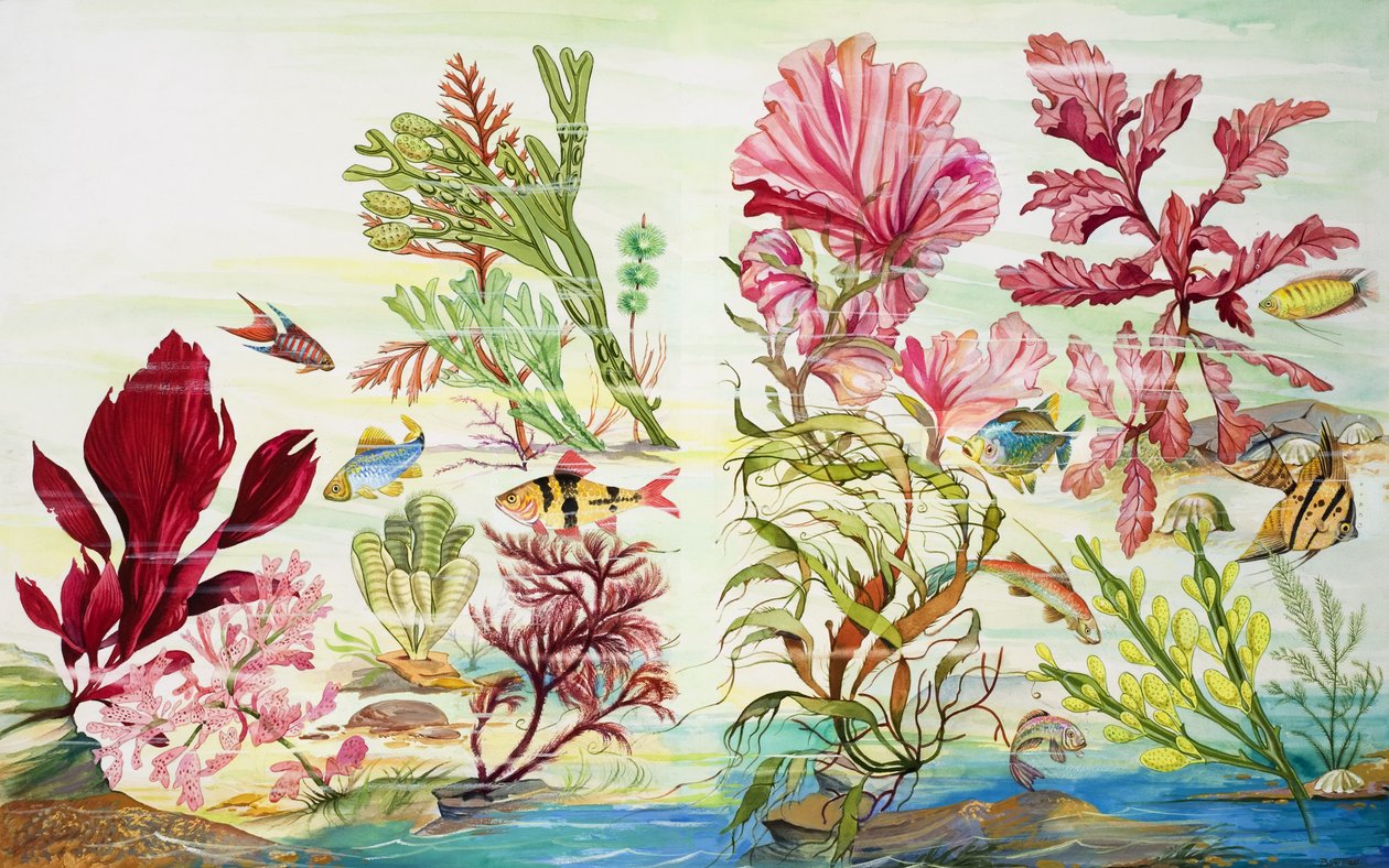水下植物（水粉画纸） 作者 英语学校