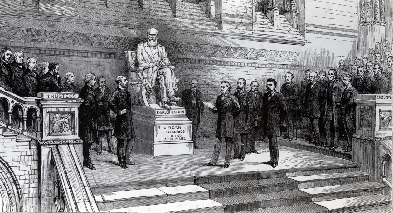 1885年6月9日在南肯辛顿的自然历史博物馆揭开已故查尔斯达尔文的雕像 作者 英语学校