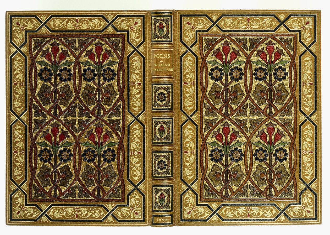 上盖和下盖，带有以新艺术风格交错的几何图案的花朵，1893年 作者 英语学校