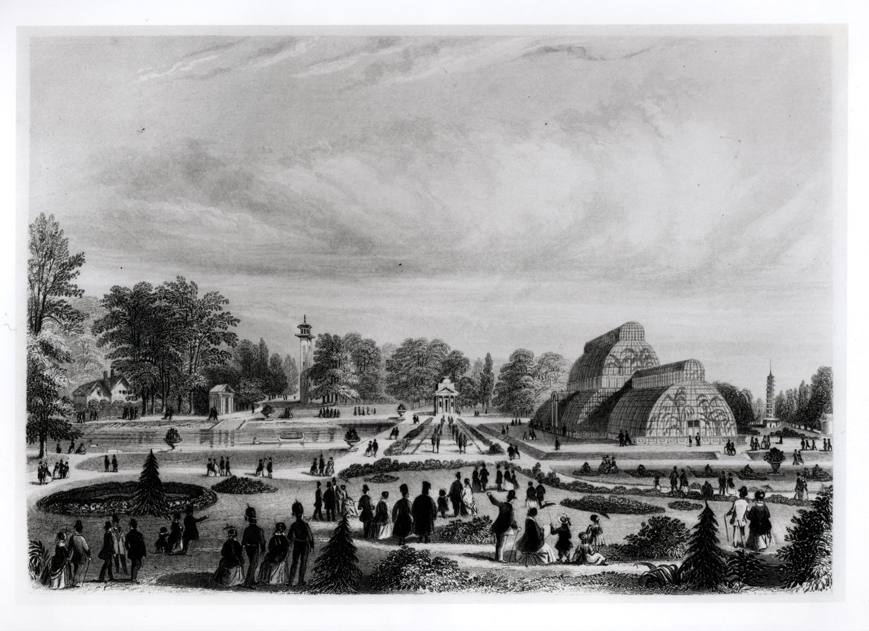 参观者在Kew Palace观看棕榈屋，1860年代 作者 英语学校