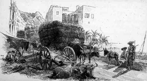 西班牙阿尔梅里亚的Esparto草的马车，出自《地中海风景画》第三卷，由Cassell and Co出版。Ltd.出版。 作者 英语学校