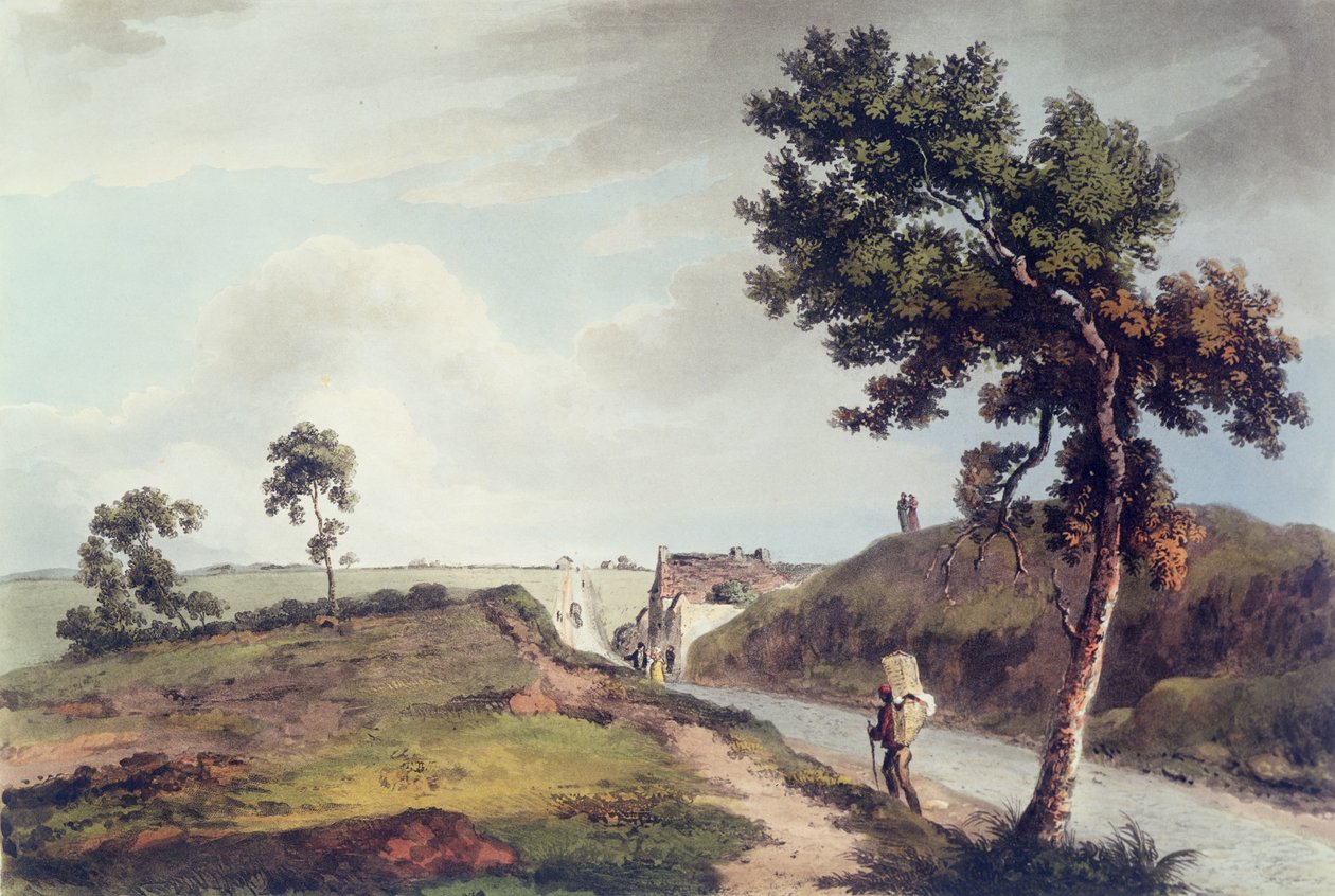 滑铁卢，由C. Turner雕刻，1816年（彩色雕刻） 作者 英语学校