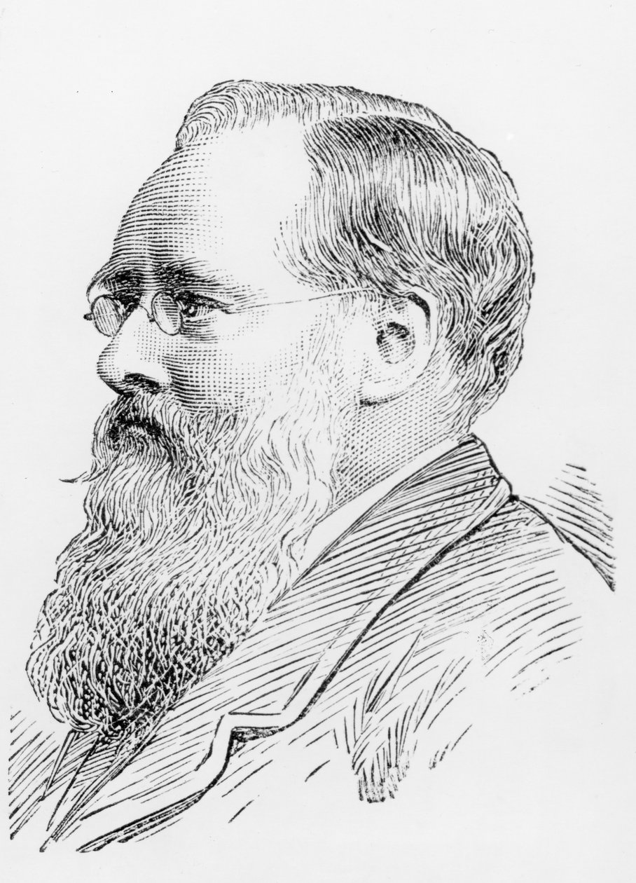 Wilkie Collins（1824-89）（雕刻）（bw照片） 作者 英语学校